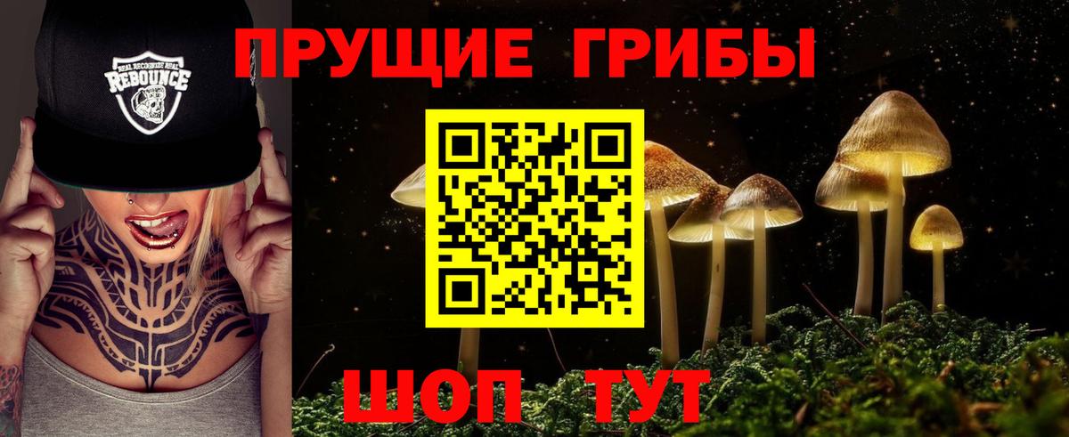 Псилоцибиновые грибы GOLDEN TEACHER Москва
